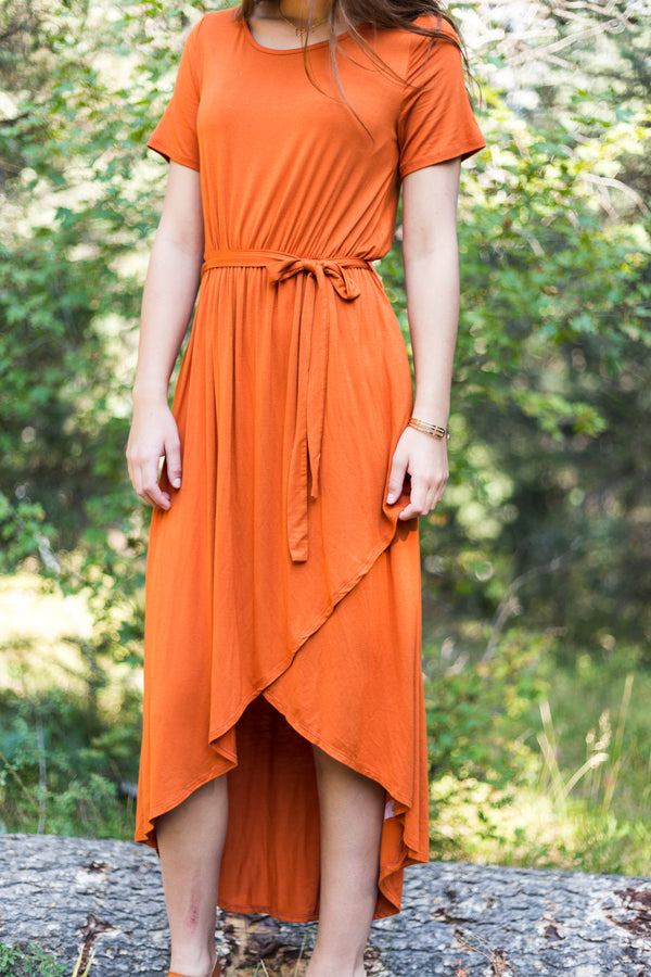 Burnt Orange Dress - 3XL - Sparrow Noir